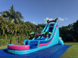 24ft Tropical Paradise- Miami Vice